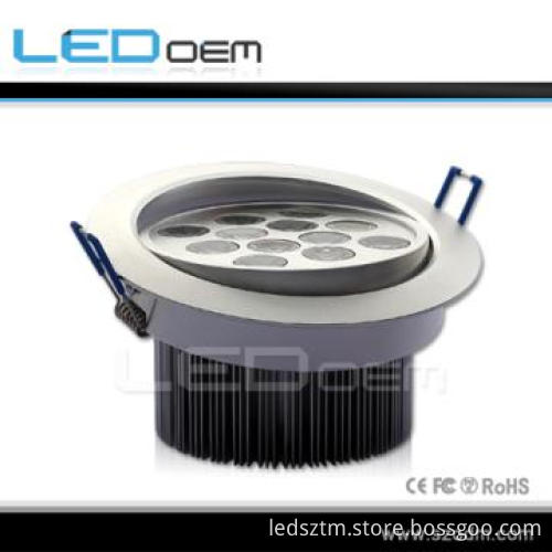 Functional 12W Led Ceiling Light with Very Good Price
